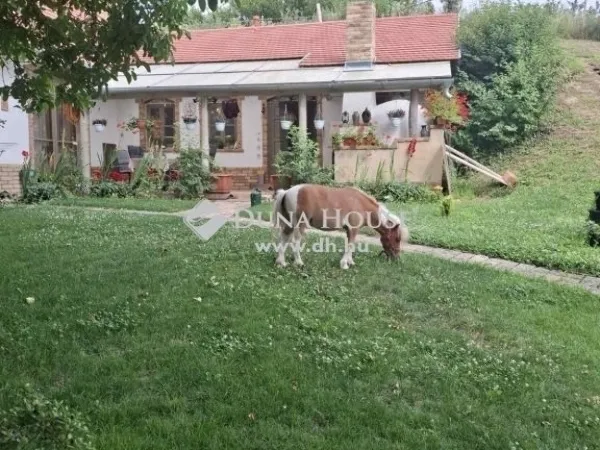 Eladó ház Egerág 178 nm