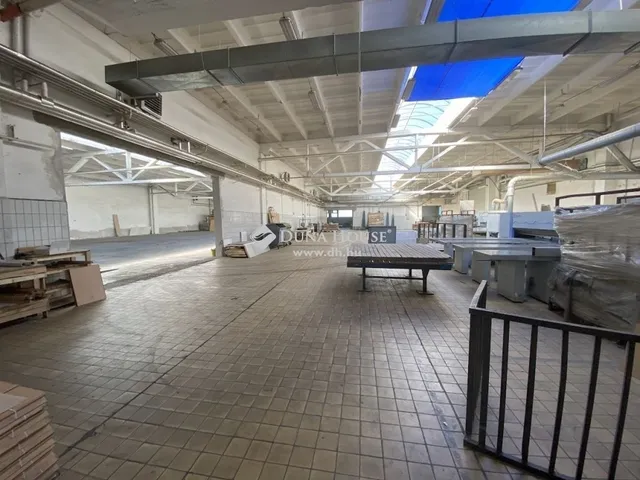 Eladó kereskedelmi és ipari ingatlan Mohács 13500 nm