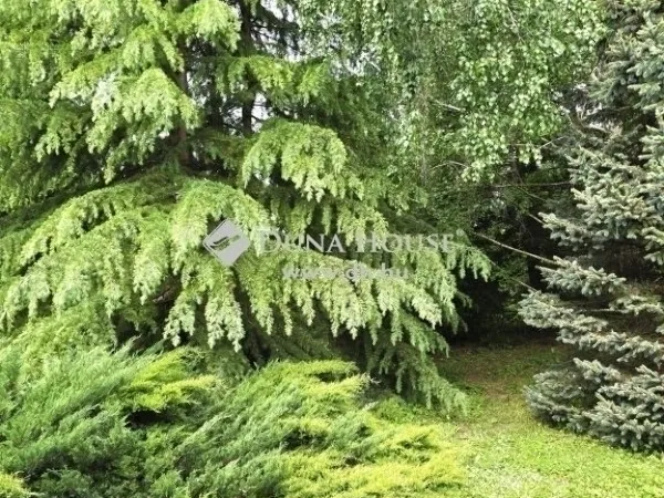 Eladó ház Kistótfalu 81 nm