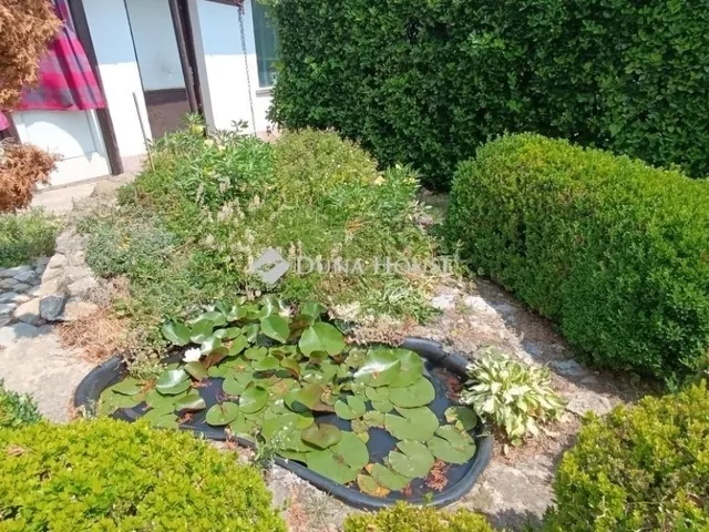 Eladó ház Bóly 181 nm