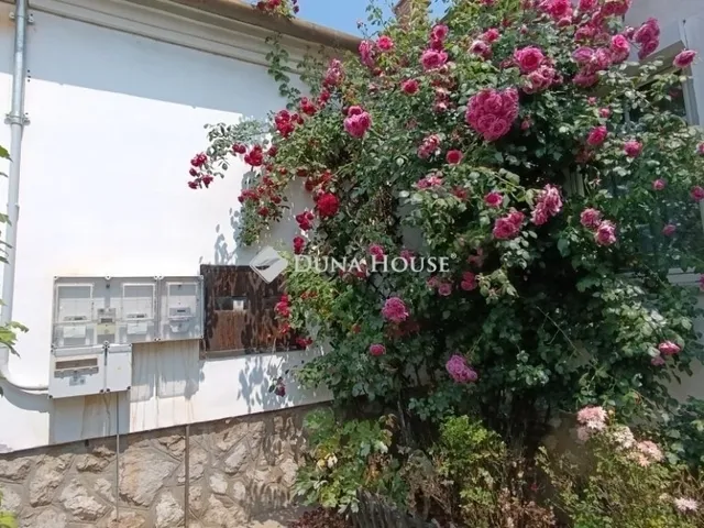 Eladó ház Bóly 181 nm