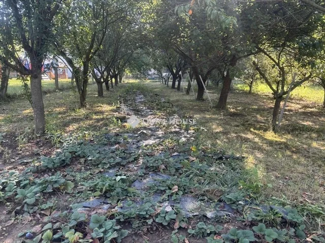 Eladó ház Görcsöny 120 nm