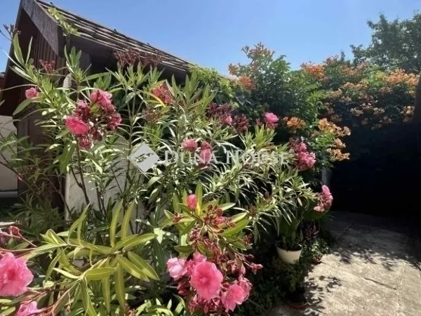 Eladó ház Pécs 134 nm