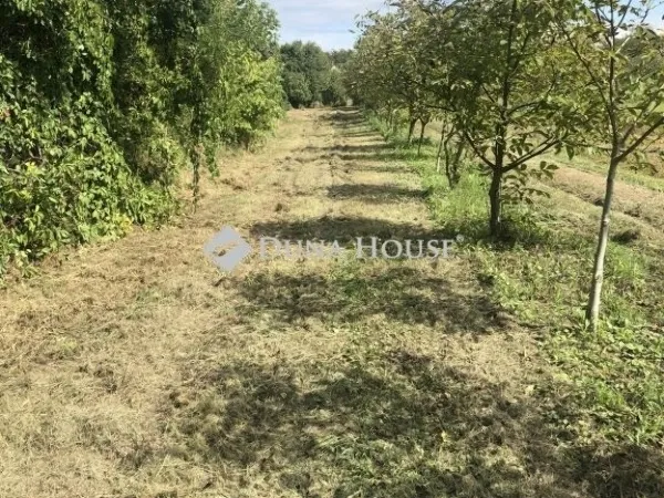 Eladó ház Vajszló 90 nm