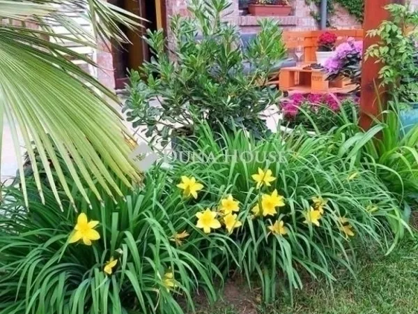 Eladó ház Pogány 129 nm