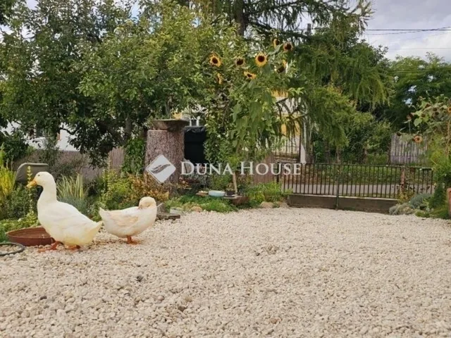 Eladó ház Baksa 100 nm