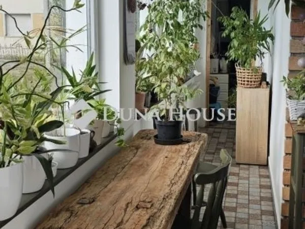 Eladó ház Baksa 100 nm