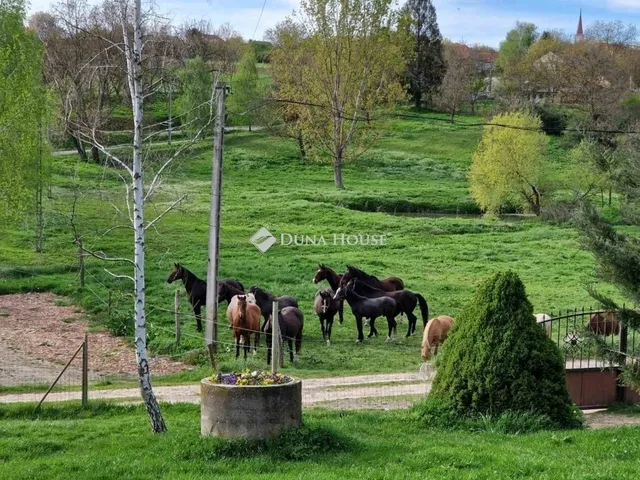 Eladó mezőgazdasági ingatlan Egerág 178 nm