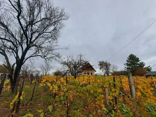 Eladó üdülő és hétvégi ház Bár 55 nm