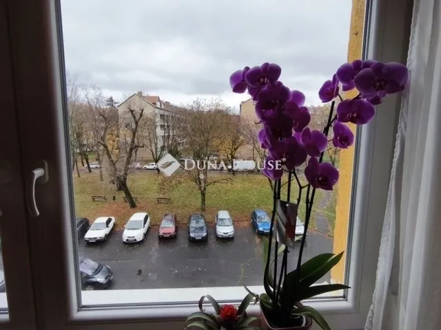 Eladó lakás Pécs 39 nm