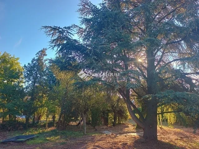 Eladó ház Cserkút 60 nm