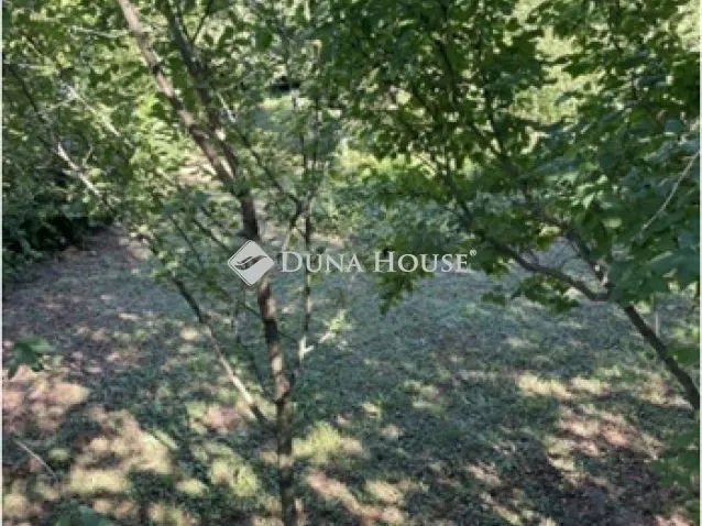 Eladó ház Pécs 270 nm