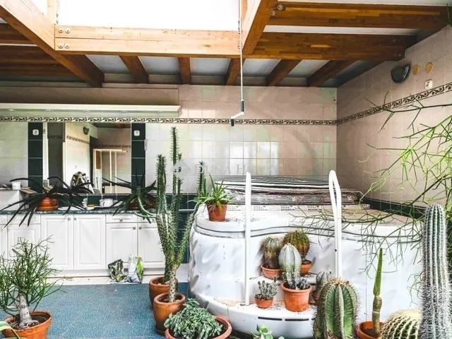 Eladó ház Pécs 300 nm