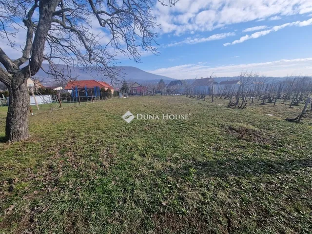 Eladó telek Kővágószőlős 1508 nm
