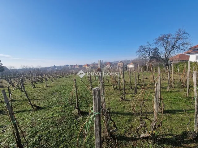 Eladó telek Kővágószőlős 1508 nm