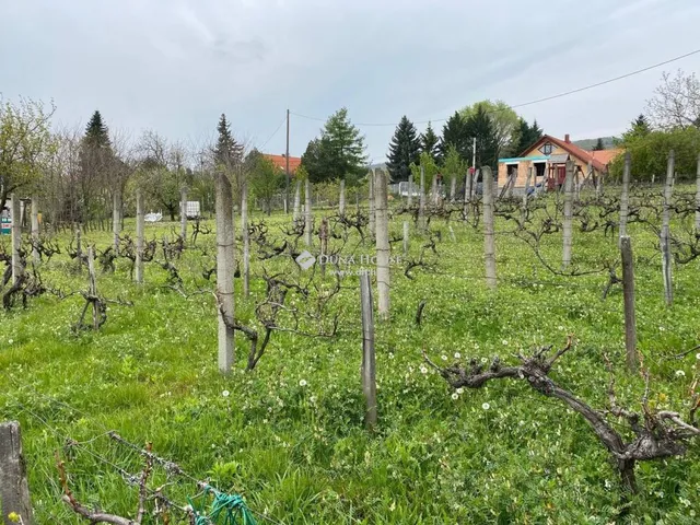 Eladó telek Pécs, Mezsgye dűlő 1492 nm