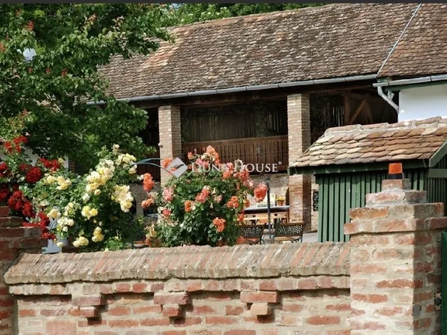 Eladó ház Villánykövesd 300 nm