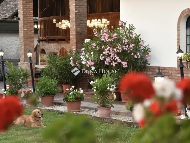 Eladó ház Villánykövesd 300 nm