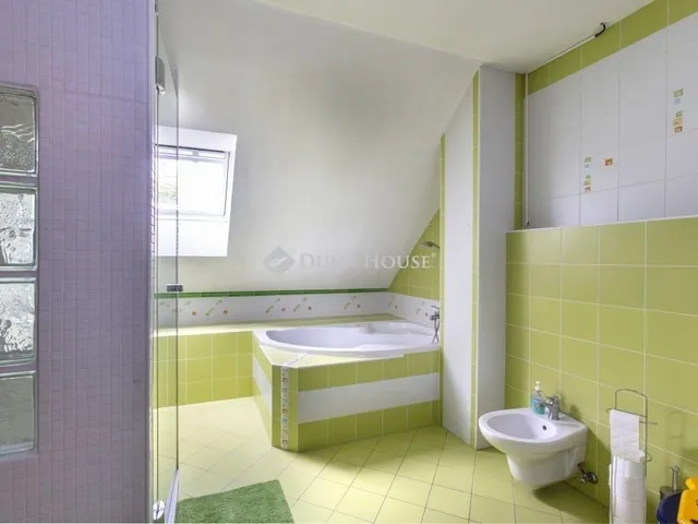 Eladó ház Nagykozár 243 nm