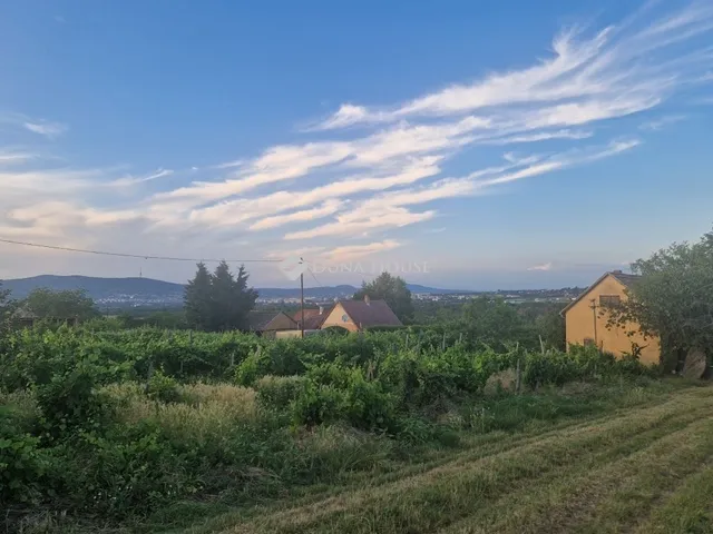 Eladó mezőgazdasági ingatlan Keszü 58 nm