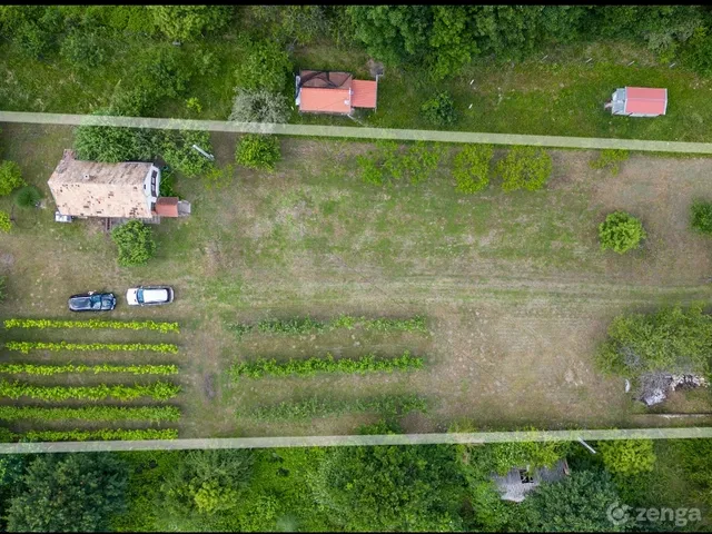 Eladó ház Bazsi, szőlőhegy 40 nm