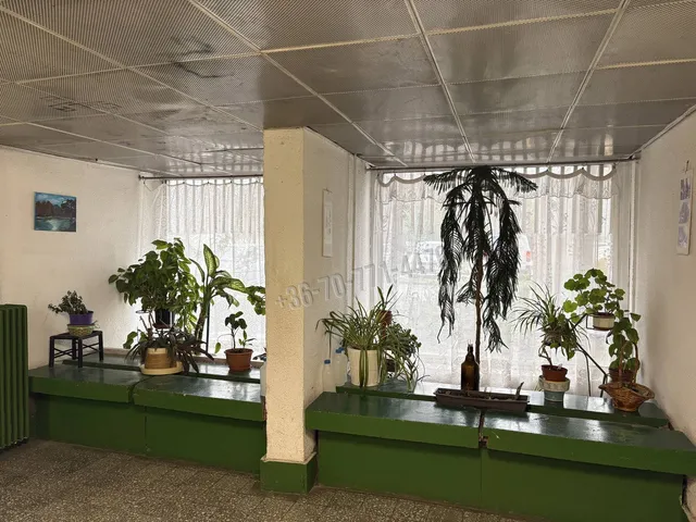 Eladó lakás Budapest XVIII. kerület, Almáskert 52 nm