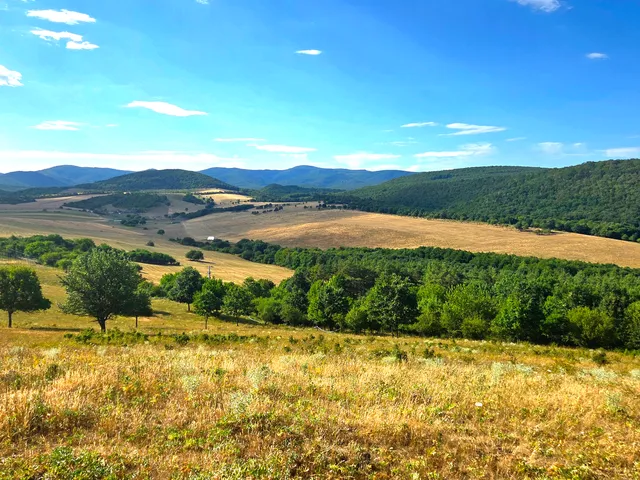 Eladó telek Szokolya, Királyrét 5590 nm