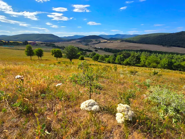 Eladó telek Szokolya, Királyrét 5590 nm