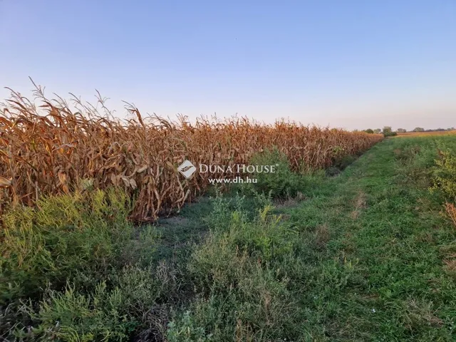 Eladó ház Zsámbok 90 nm