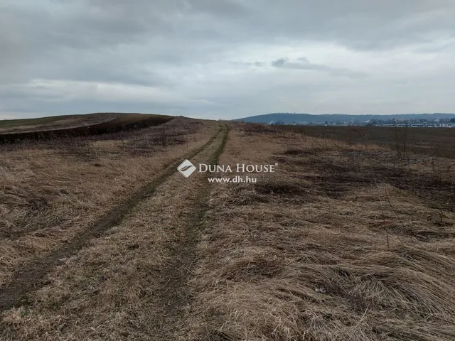 Eladó mezőgazdasági ingatlan Őrbottyán 400 nm