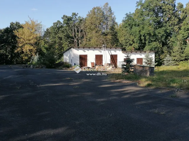 Eladó telek Mogyoród 15600 nm