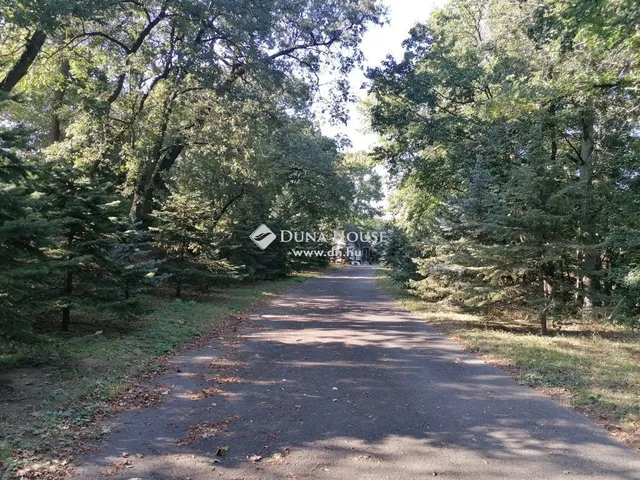 Eladó telek Mogyoród 15600 nm