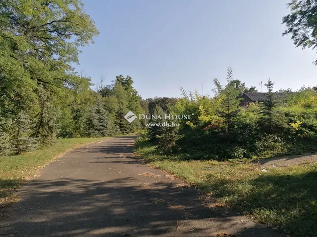Eladó telek Mogyoród 15600 nm