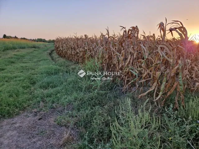 Eladó ház Zsámbok 90 nm