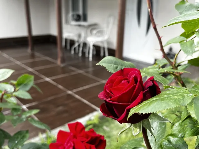 Eladó ház Abádszalók 140 nm