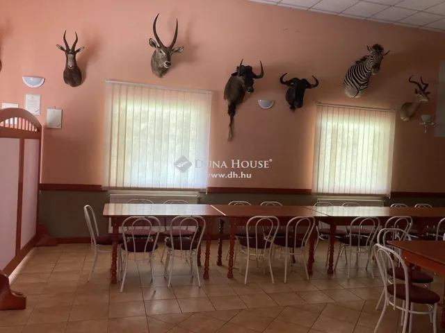 Eladó kereskedelmi és ipari ingatlan Váraszó 229 nm