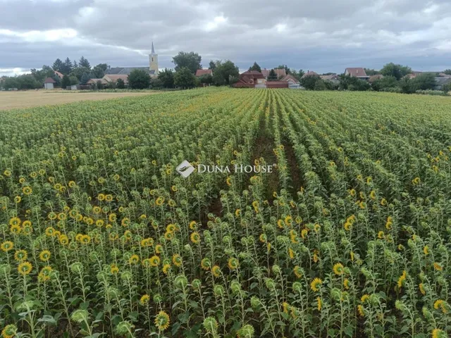 Eladó telek Kartal 1503 nm