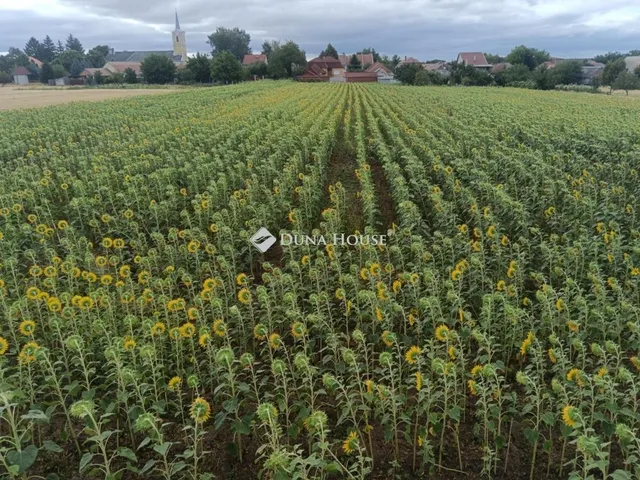 Eladó telek Kartal 1503 nm