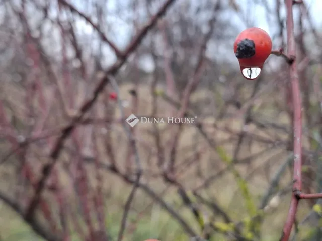 Eladó telek Hatvan 5658 nm