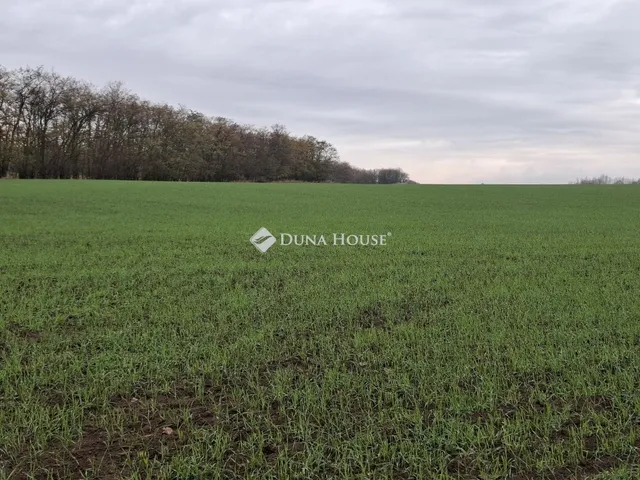Eladó telek Hatvan 5658 nm