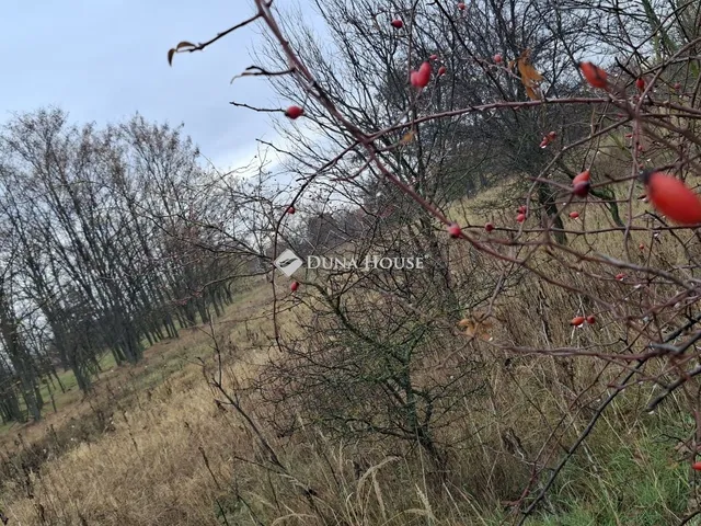 Eladó telek Hatvan 5658 nm