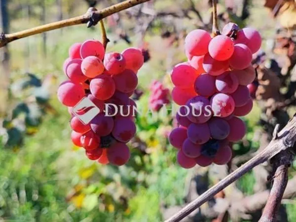 Eladó telek Hatvan 1424 nm