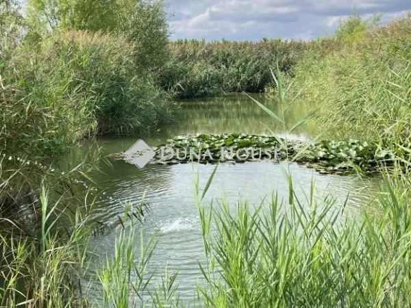 Eladó mezőgazdasági ingatlan Kisköre 75 nm