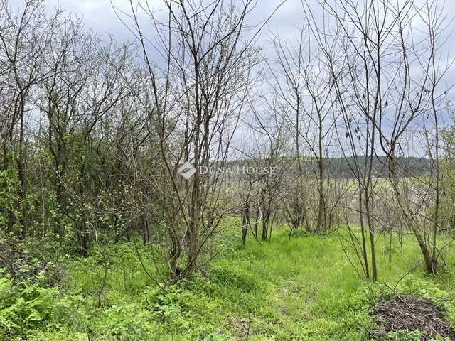 Eladó telek Bag 978 nm