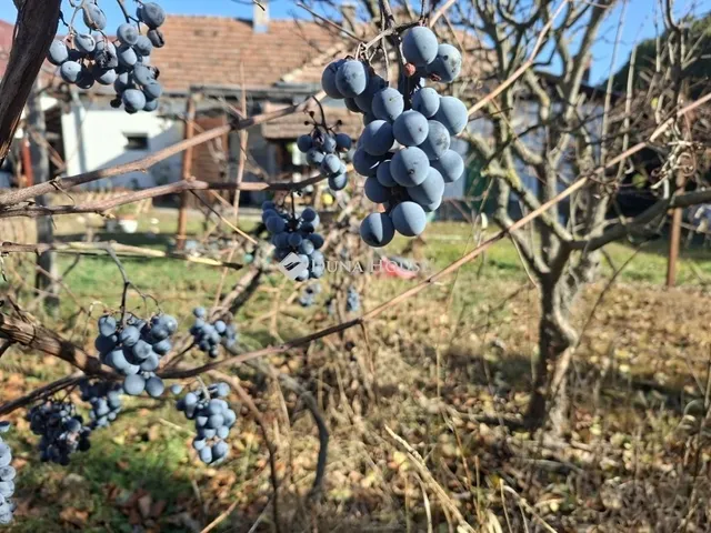 Eladó ház Veresegyház 82 nm