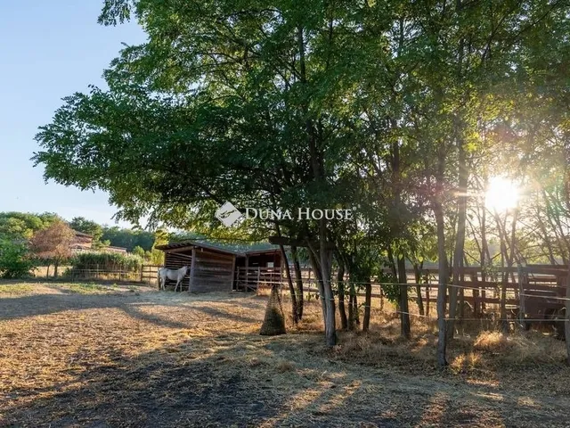 Eladó ház Erdőkertes 282 nm