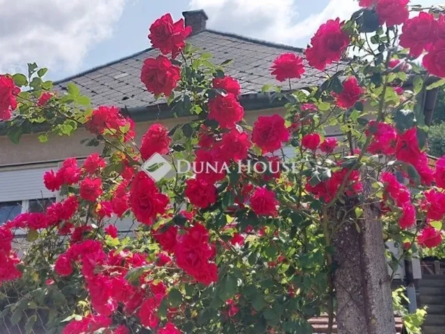 Eladó ház Bükkszék 82 nm