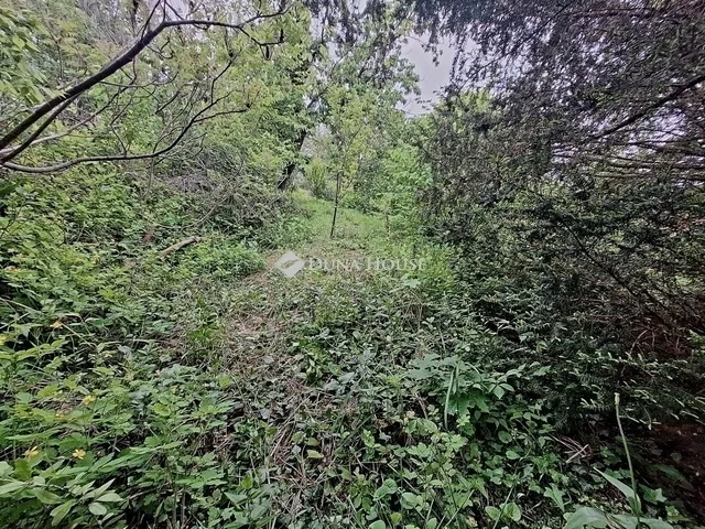 Eladó ház Gödöllő 98 nm