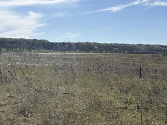 Eladó telek Gödöllő 810 nm