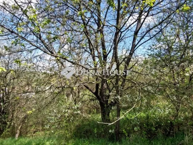 Eladó ház Ivád 179 nm